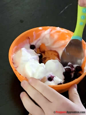 Mina's bowl of yogurt